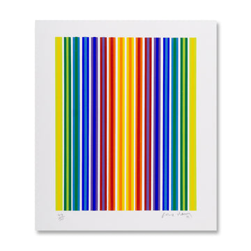 Jorege Pereira - Cinético X